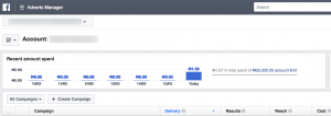 Facebook Ad Manager In Naira